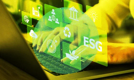 A person working at a laptop