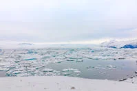 ice