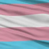 The Trans flag