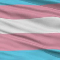 The Trans flag