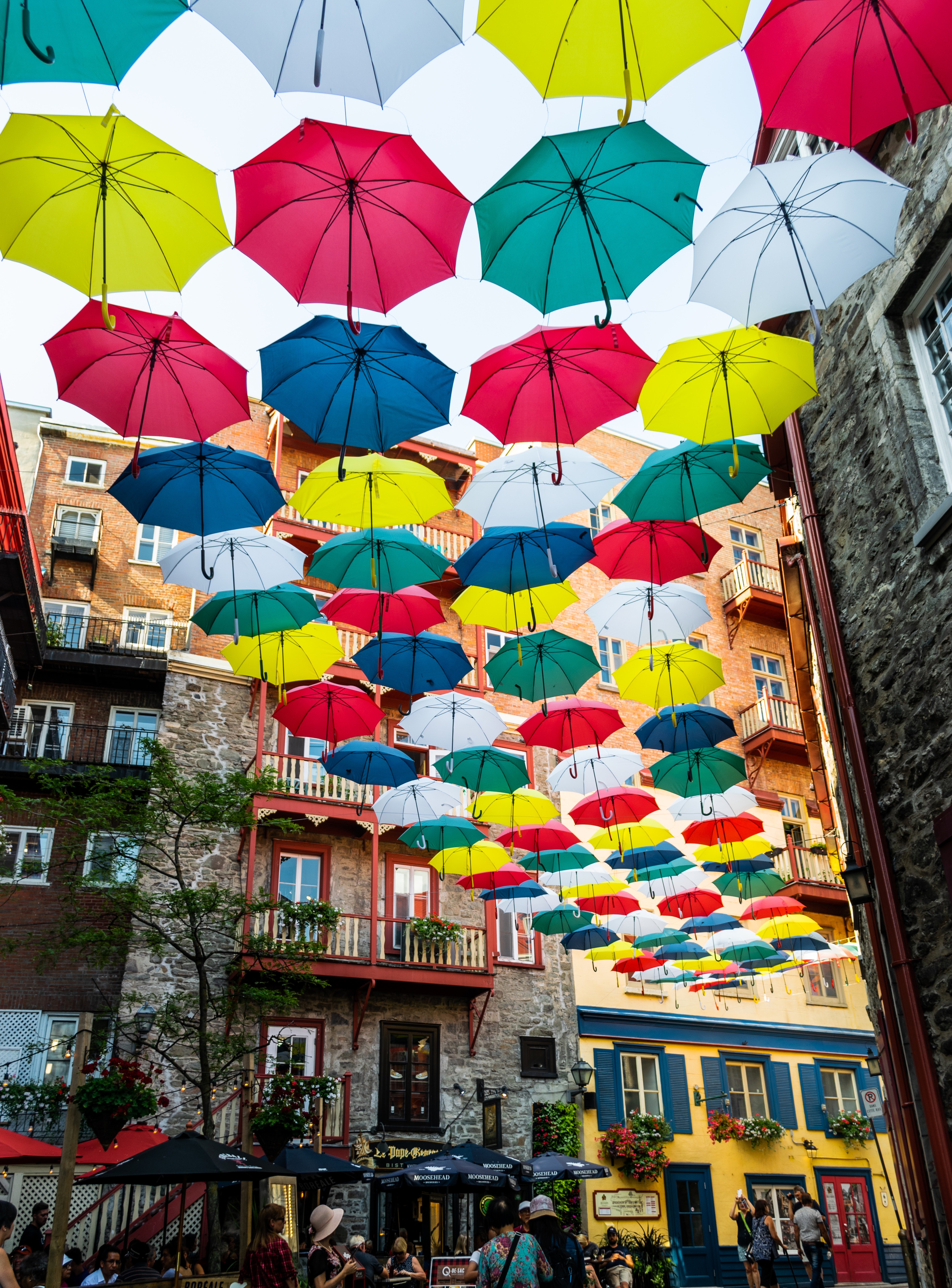 umbrellas in street