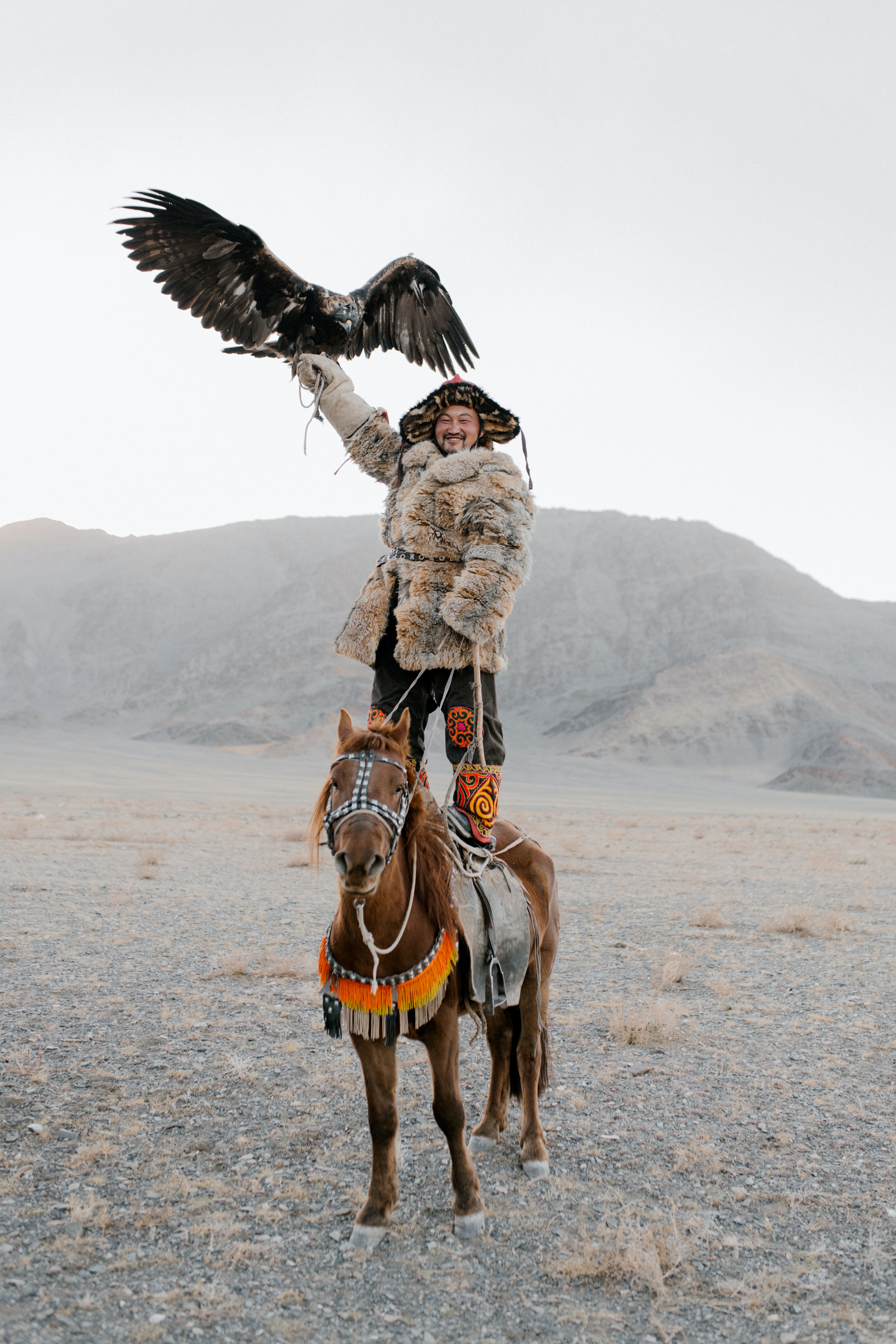 mongolian man on horse with hawk