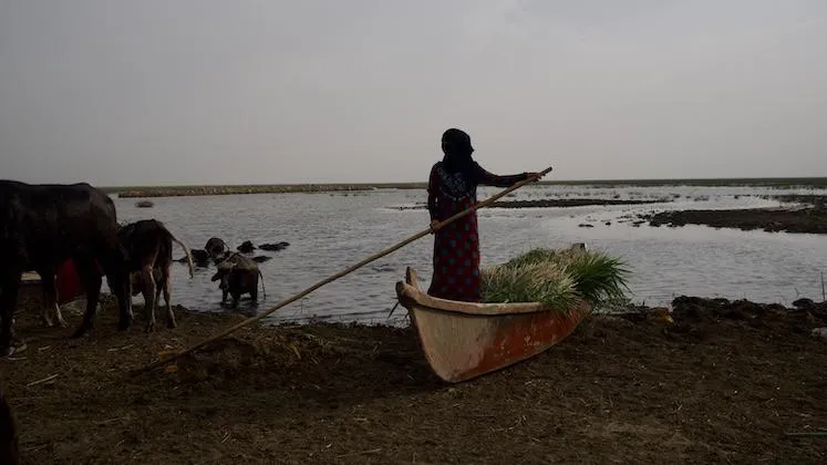 Visual-Resilience-747-420