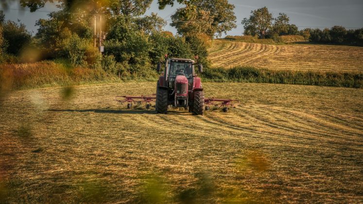 farming_crmichael-austin-unsplash420