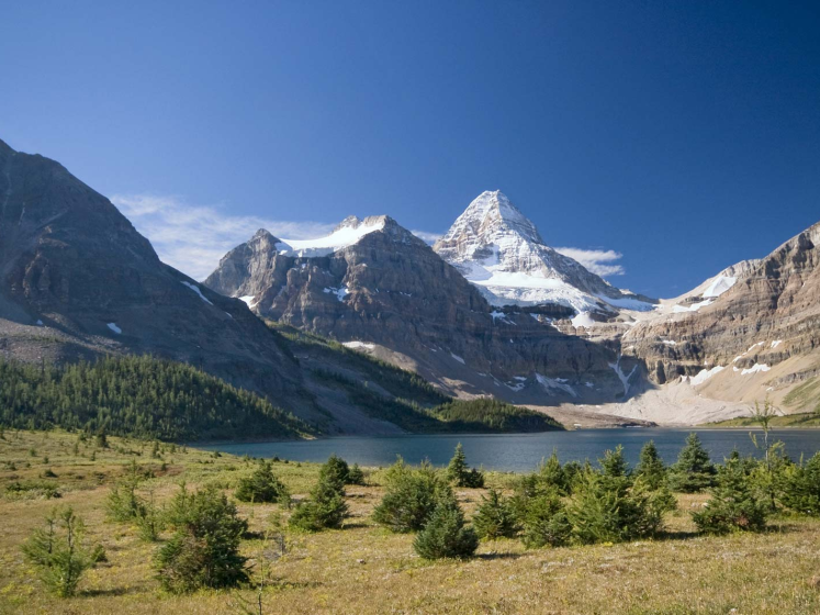 A scenic mountain range on a clear blue day with a lake and greenery in the foreground