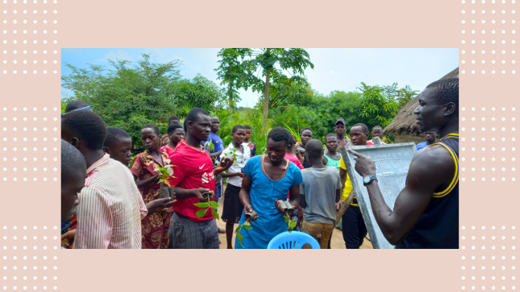 FLIA Home Page Sustainable Tree Use in Acholi, Northern Uganda