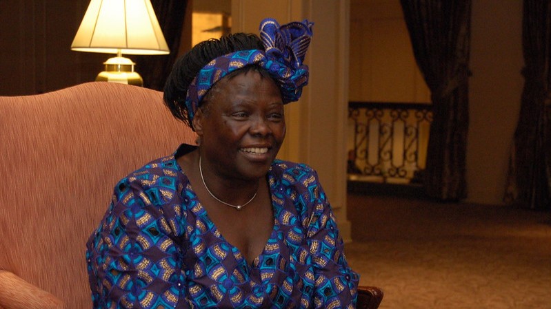 Wangari Maathai 16 9