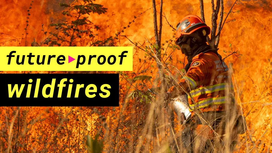 Why wildfires are becoming impossible to control
