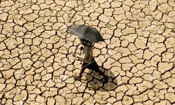 Cracked earth