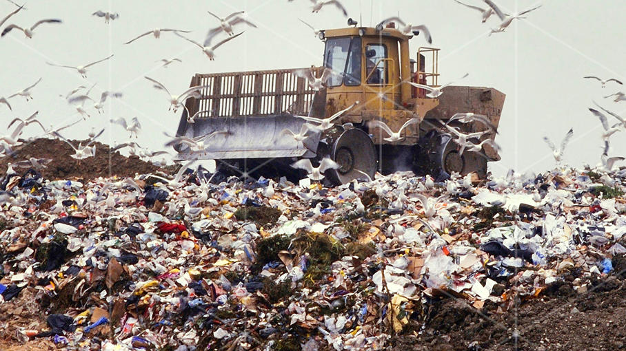 The toxic waste crisis poisoning UK towns | LSE Future Proof