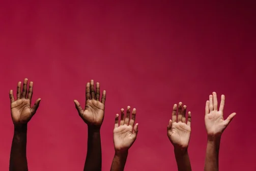 Activism, Influence and Change Programme