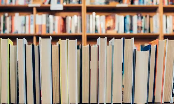 Books on bookshelves
