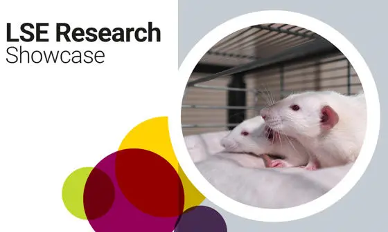 Mice in a cage