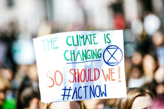 Climate protest image by Markus Spiske on Pexels