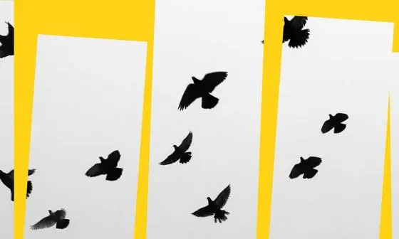 fair_23_0049 FESTIVAL themes_ yellow_1920x83051