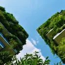 Buildings covered in plants