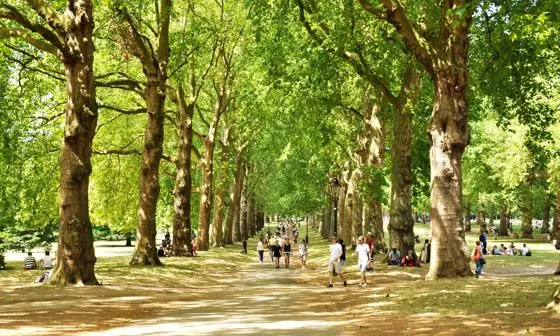 Green Park, London