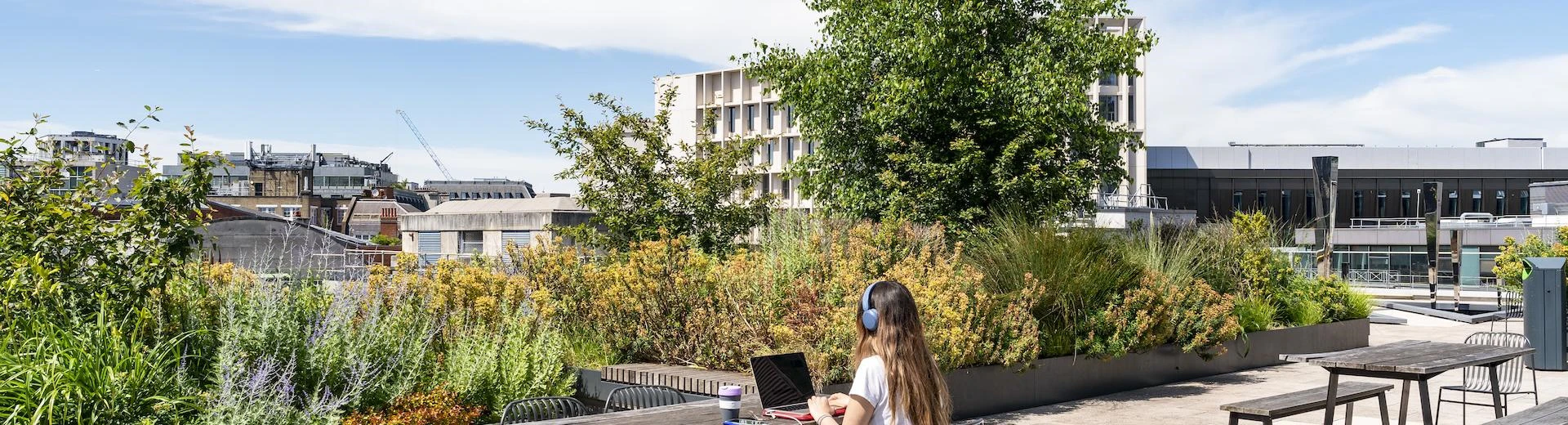 A student studying on a rooftop