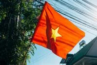 Vietnamese flag flying on a wooden mast near a building and a tree