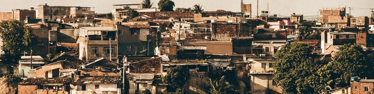 Jovchelovitch banner