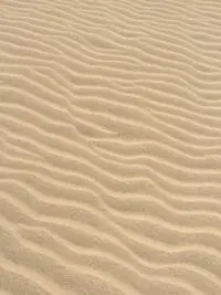 daniel-straub-n5HOJGtYt4Q-unsplash