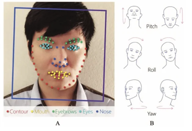 Graphical illustration of the illustration produced by Face ++