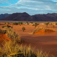 Namibia desert