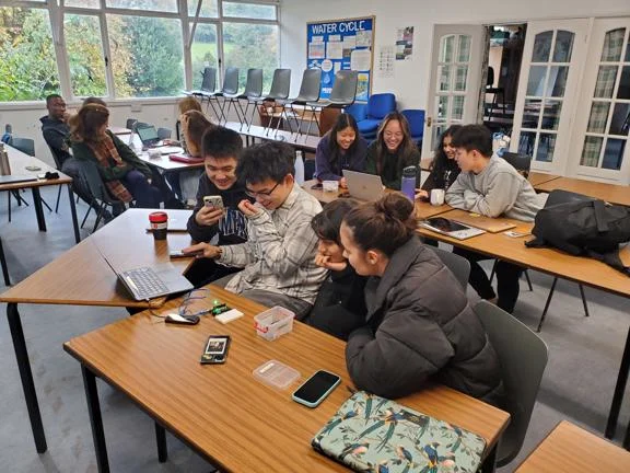 Students in small groups looking at laptops.