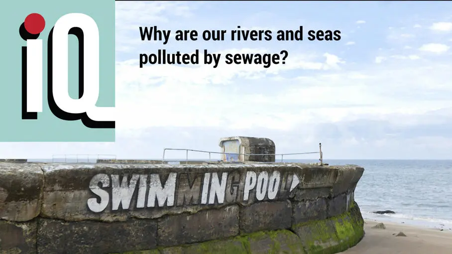 Why are our rivers and seas polluted by sewage?