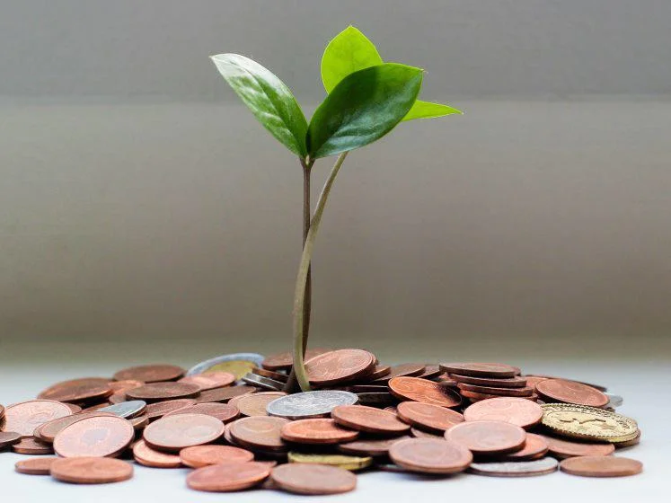 investment micheile dot com unsplash 747x560