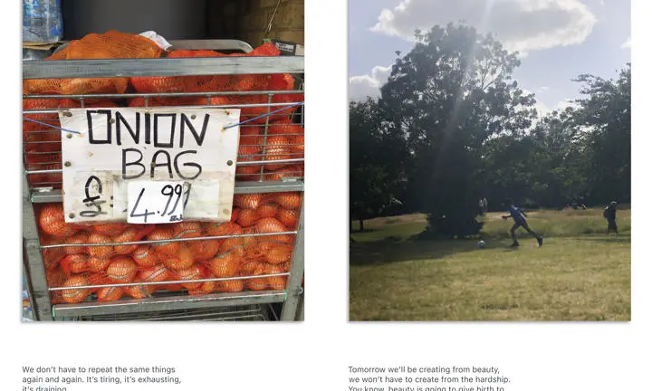 photographs of onion bags and park