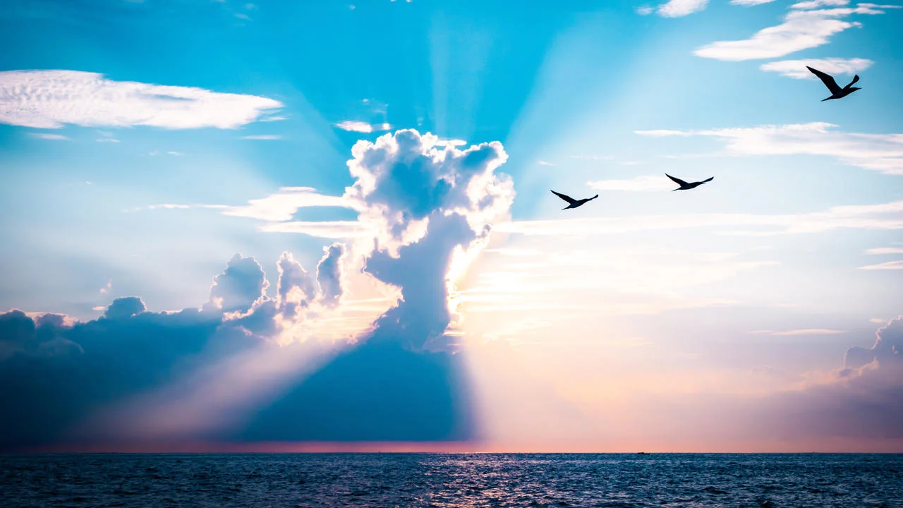 The horizon with birds, a sunset, sea and cloud formation.