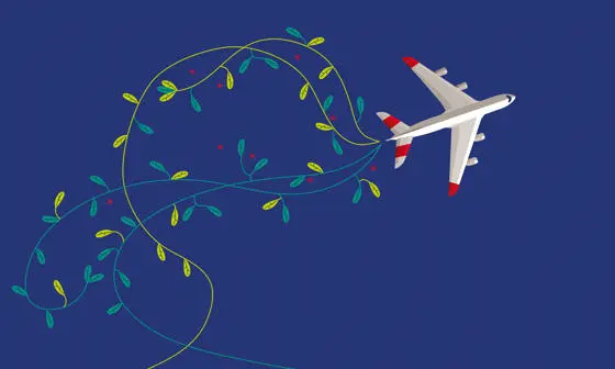 An aeroplane with leaves and branches coming from it.