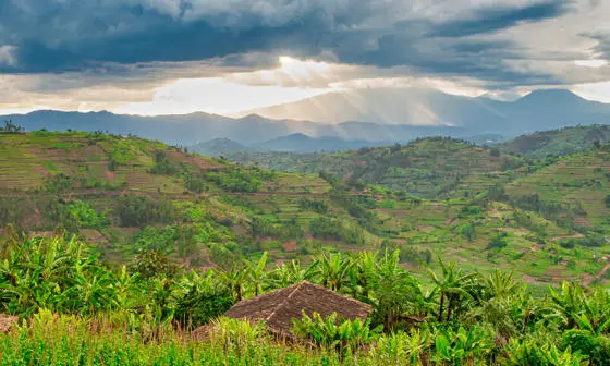 Rwandan countryside