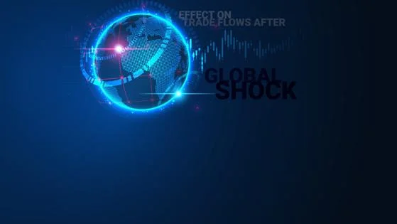 trade flows after global shocks