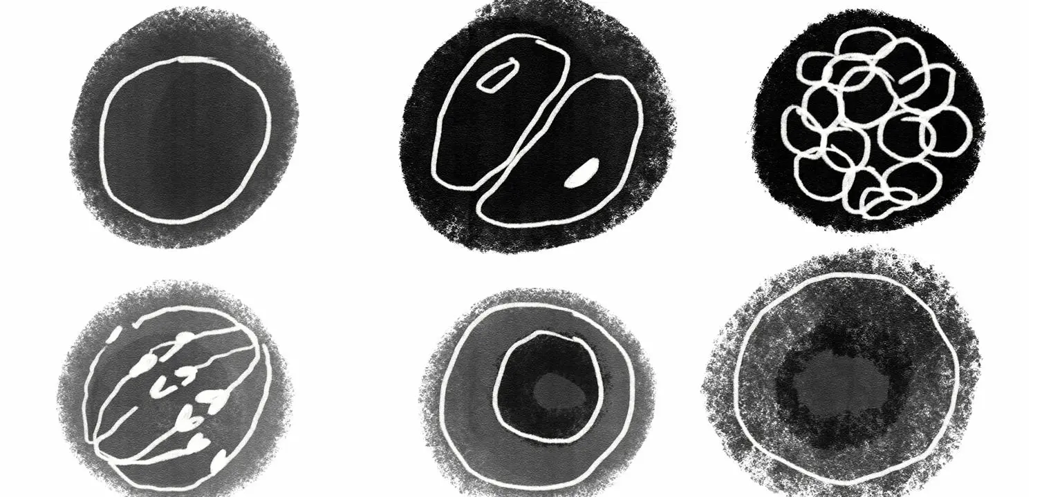 Illustration of eggs by Rosalie Schweiker
