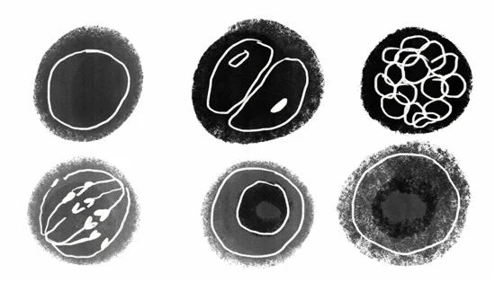 Illustration of eggs by Rosalie Schweiker