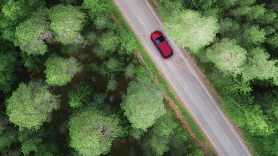 A red car on a road flanked by trees