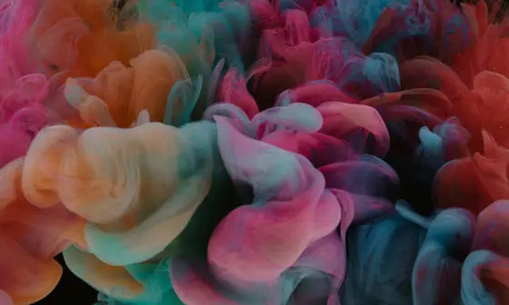 anti gender movements and resistance