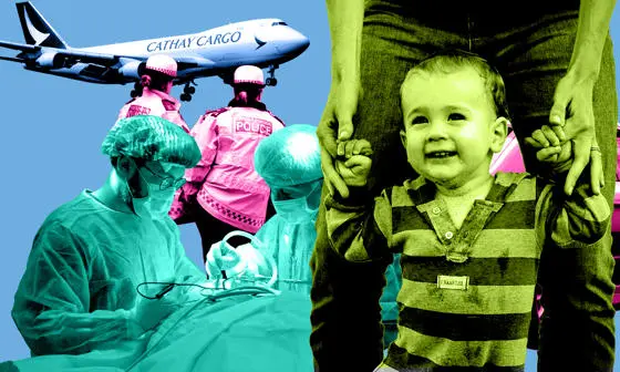 careers explored in the research, including pilots, medical professionals, childcare, police