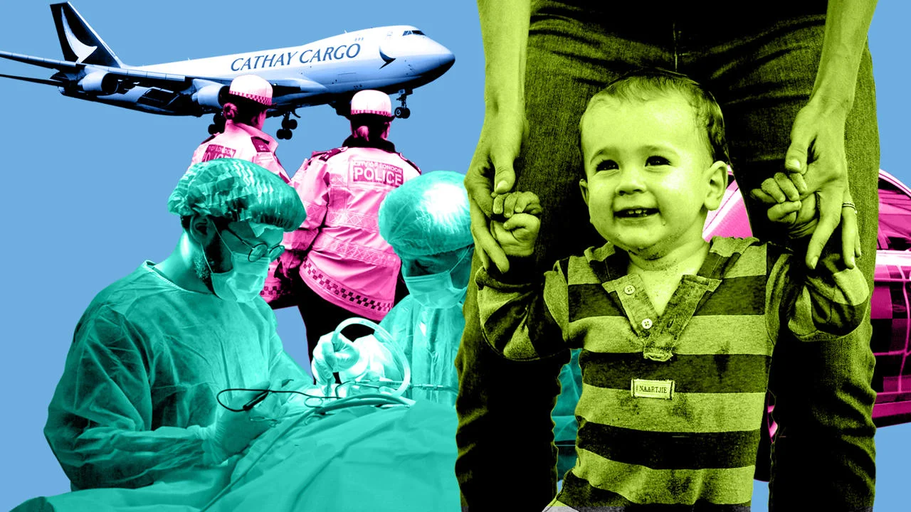 Careers explored in the research, including pilots, medical professionals, childcare, police