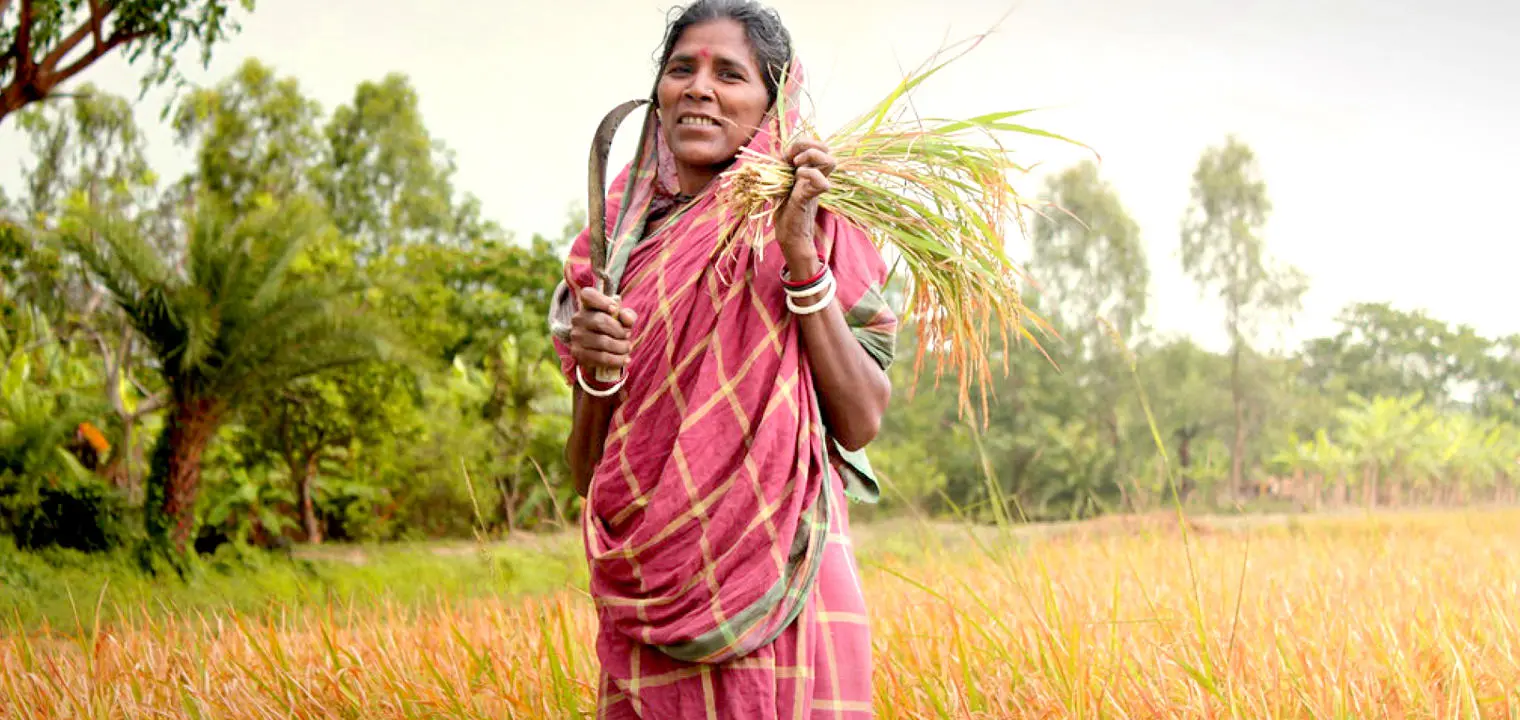 woman in field