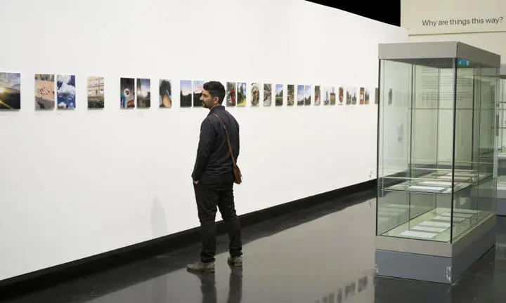 looking at the exhibit