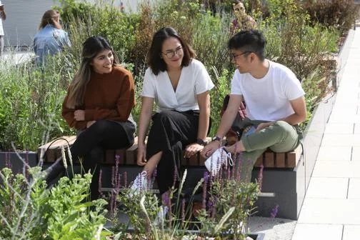 Students chatting on terrace