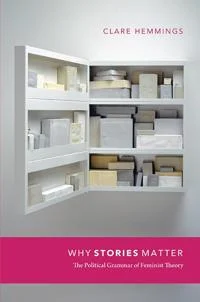 Why Stories Matter book cover