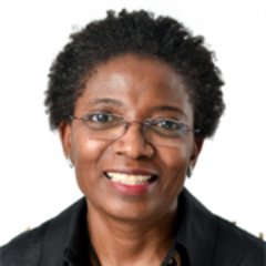 Professor Funmi Olonisakin