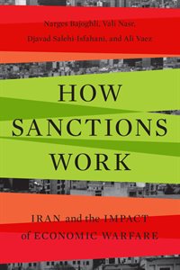 how-sanctions-work-bookcover-200x300