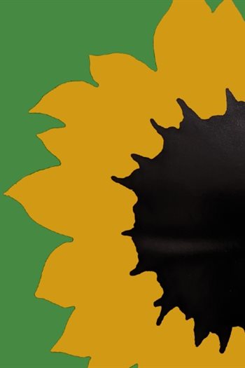 A sunflower drawing on a green background