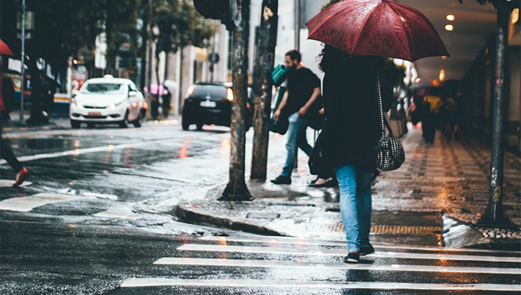 Image of a woman with an umbrella on a zebra crossing