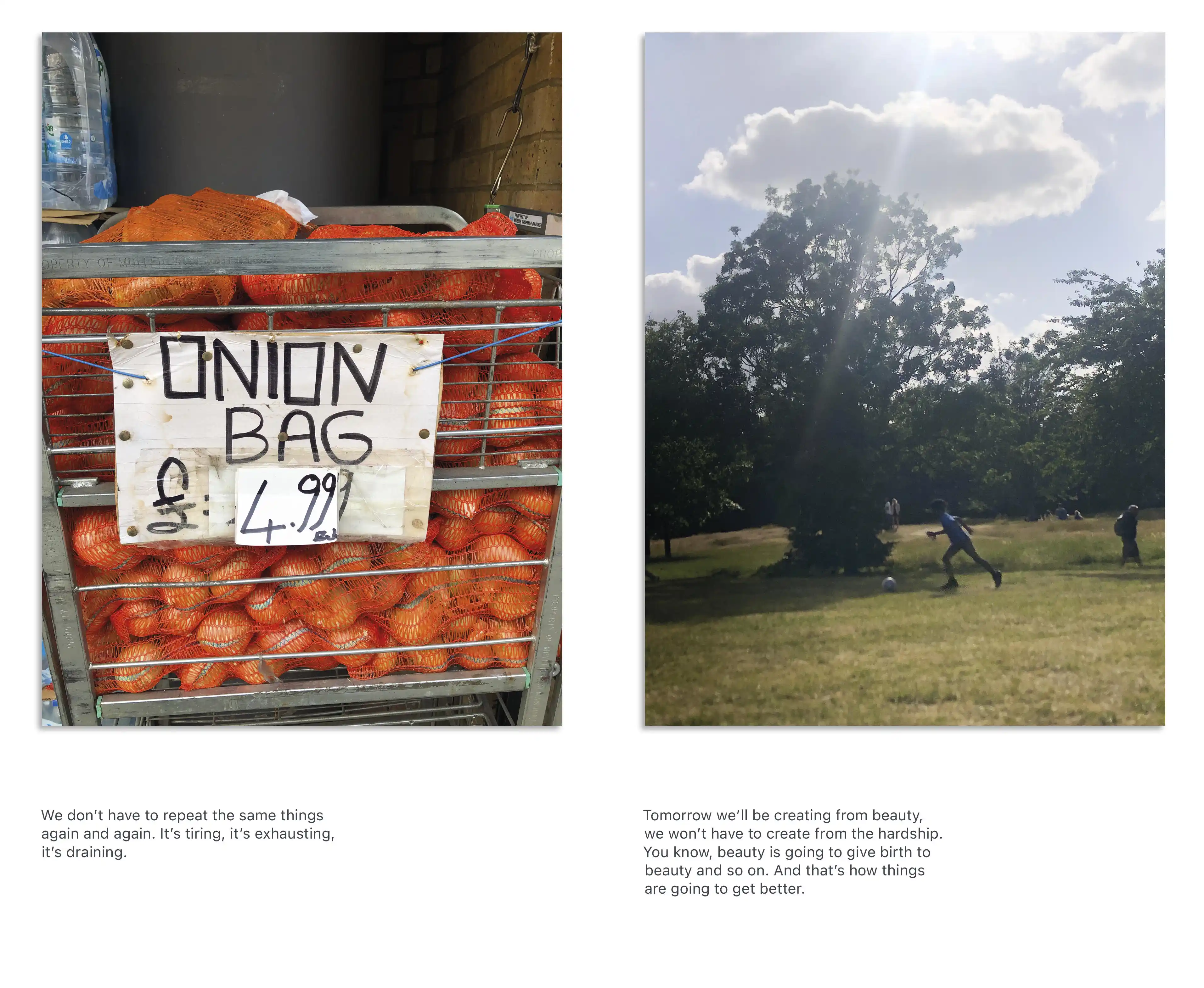 photographs of onion bags and park